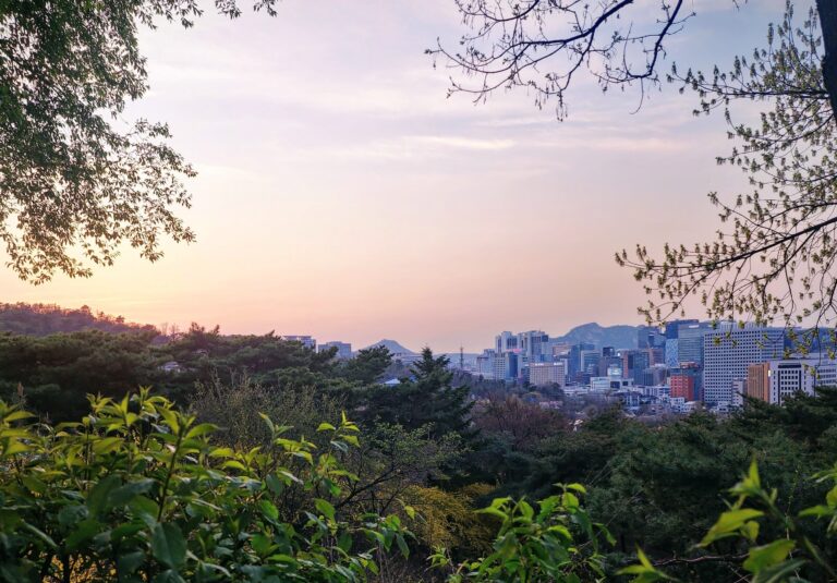 An Introvert’s Guide to Seoul (Part 1): Calm & Deep Vibes🌸